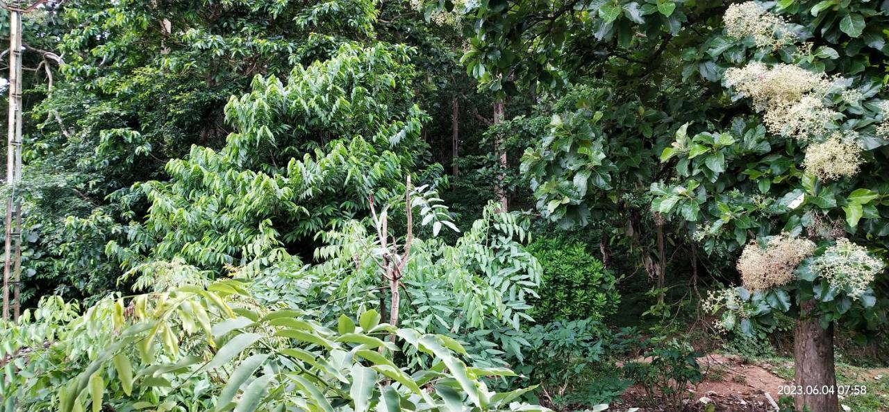 Floral Homestay Thekkady Exterior foto